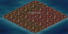 Uranium Flats